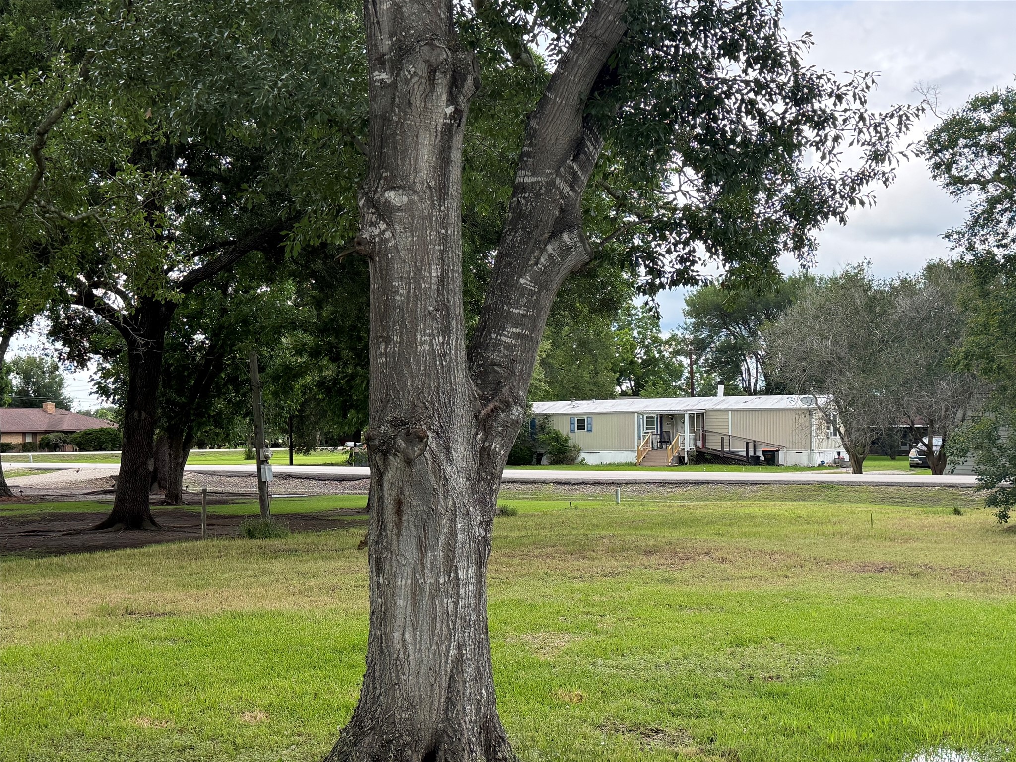 407 North 3rd Street Beasley, TX 77417 - Photo 10 of 12 a swimming pool with a trees in the background