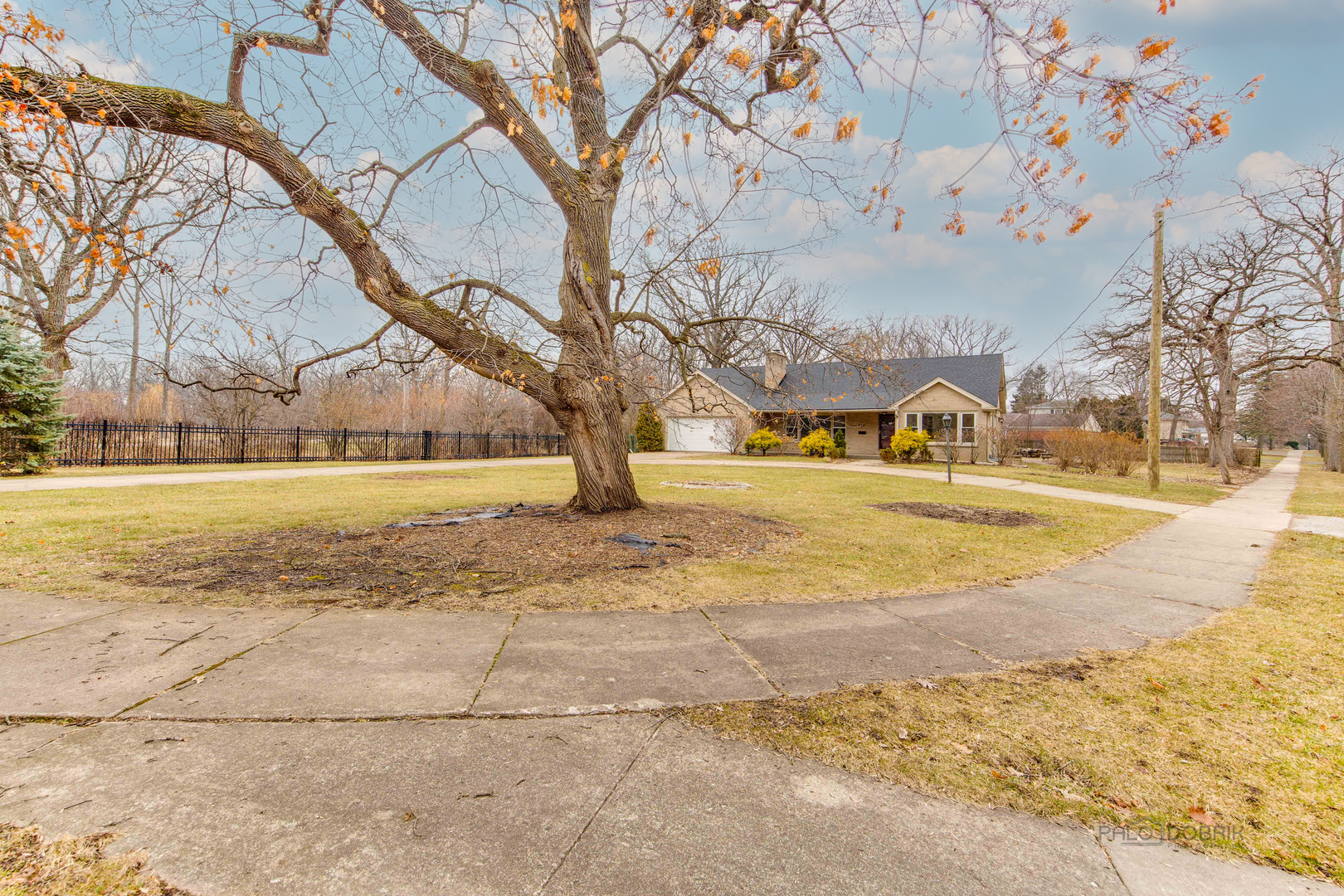 216 Green Bay Road Lake Bluff, IL 60044 - Photo 32 of 35 a view of yard with tree in the background