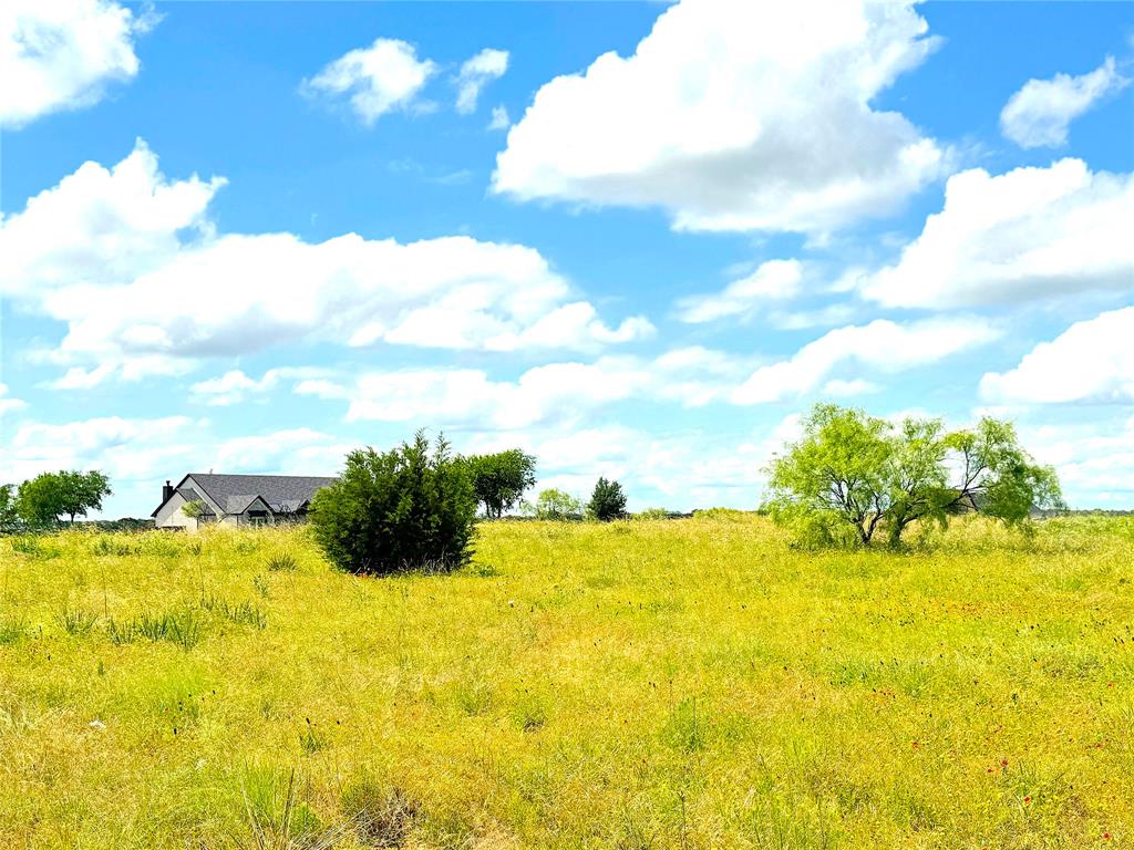 2091 Fm-52 Perrin, TX 76486 - Photo 10 of 23