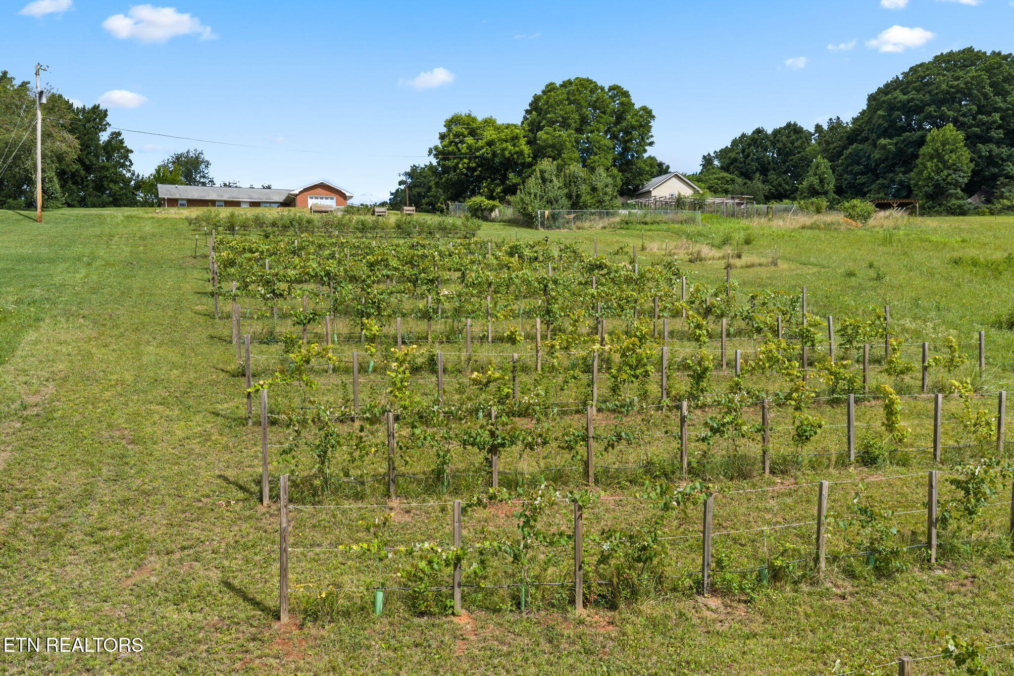 260 Long Hollow Road Clinton, TN 37716 - Photo 15 of 47 15-web-or-mls-620 Long Hollow-073