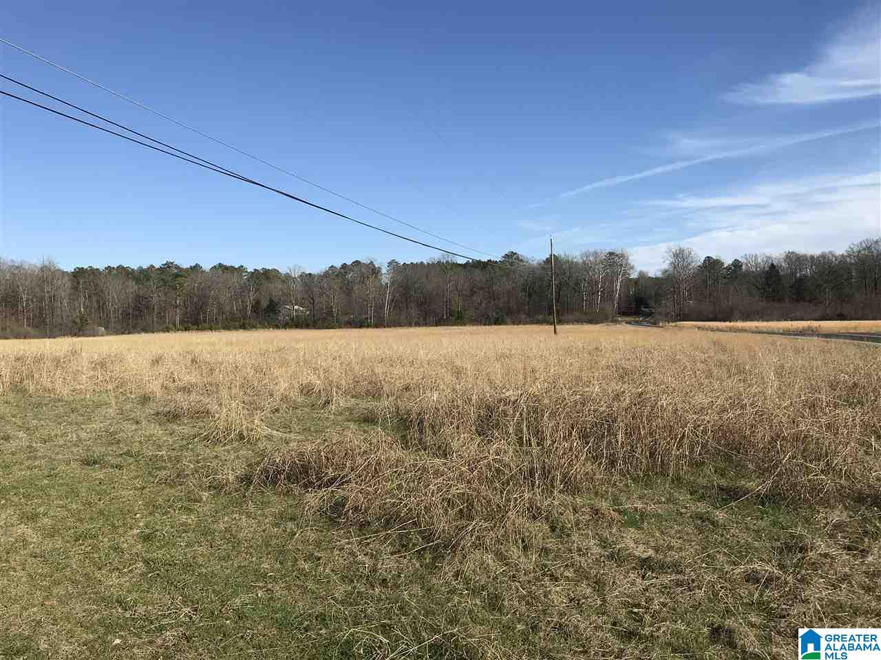 0 Fox Valley Farms Road, Unit 1 Alabaster, AL 35114 - Photo 4 of 8