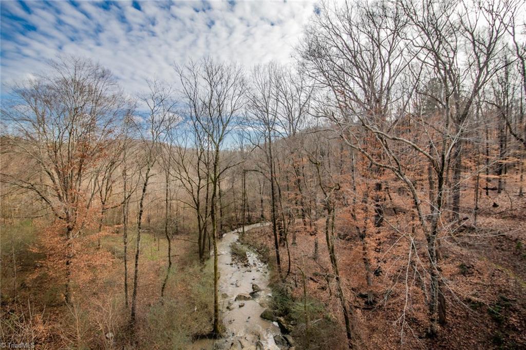 16 Heath Dairy Road Randleman, NC 27317 - Photo 4 of 14 Gallery Image 4