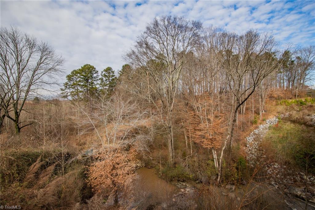 16 Heath Dairy Road Randleman, NC 27317 - Photo 5 of 14 Gallery Image 5