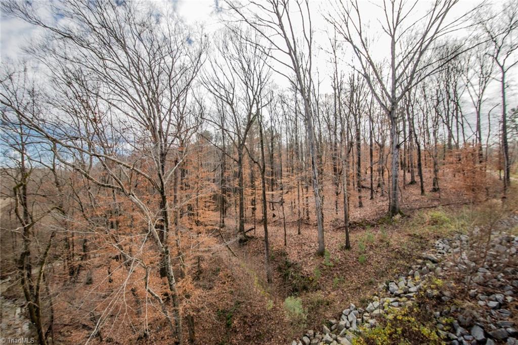 16 Heath Dairy Road Randleman, NC 27317 - Photo 6 of 14 Gallery Image 6