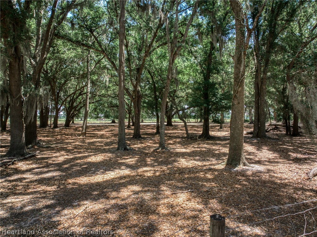 2455 Hampton Road Wauchula, FL 33873 - Photo 11 of 39 Gallery Image 11