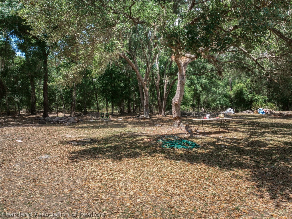 2455 Hampton Road Wauchula, FL 33873 - Photo 31 of 39 Gallery Image 31