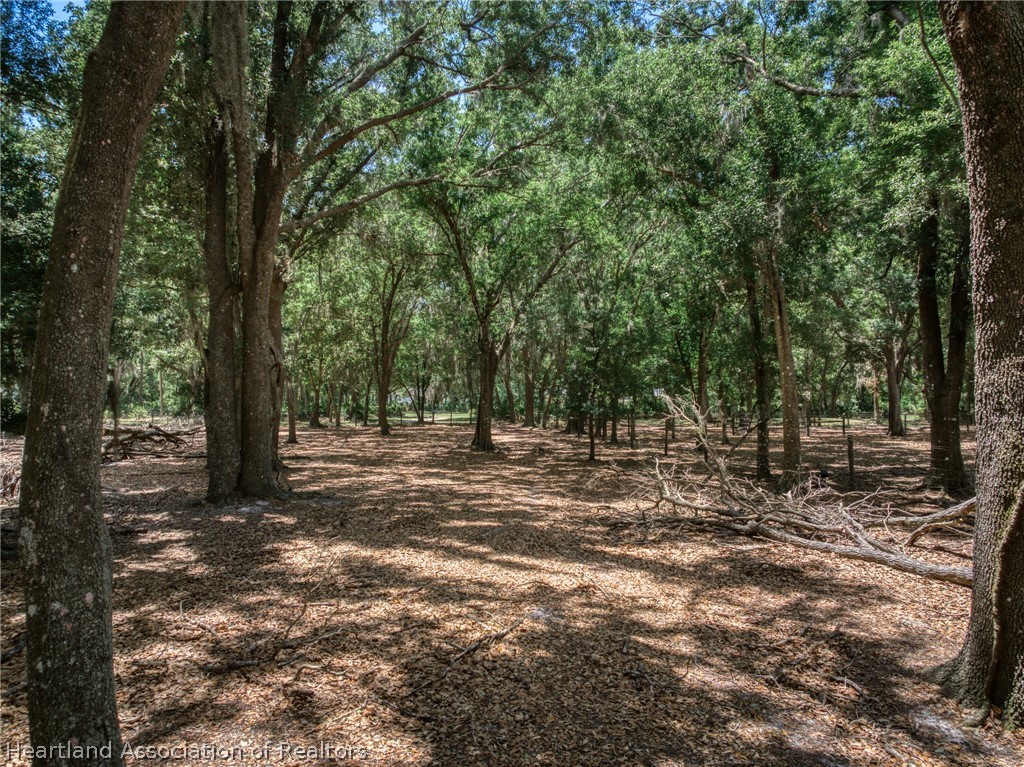 2455 Hampton Road Wauchula, FL 33873 - Photo 10 of 39 Gallery Image 10