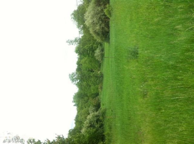 West Tamarack Road Howard City, MI 49329 - Photo 1 of 1 Primary Photo