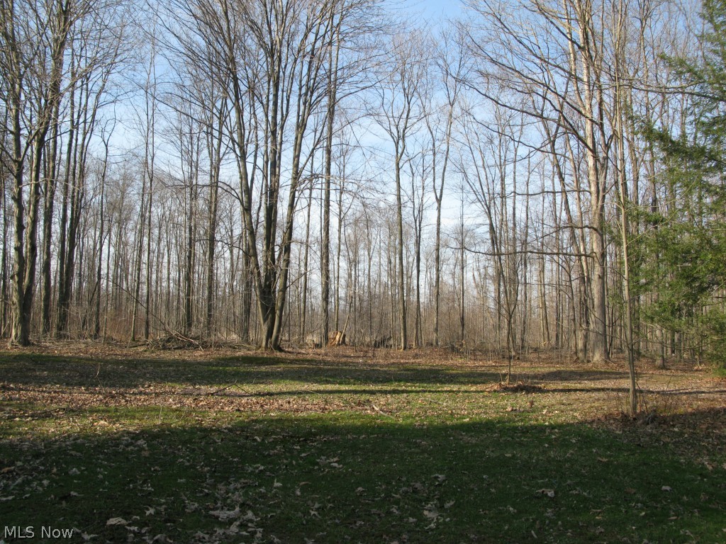 17400 Mayfield Road Windsor, OH 44099 - Photo 13 of 16 17424 Mayfield Rd located on its own parcel of 2.47 acres