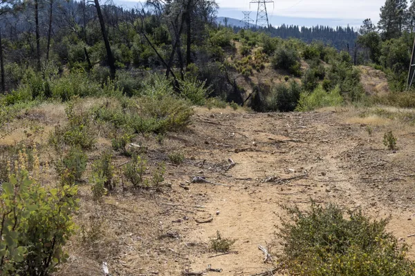 a view of a dry field with trees