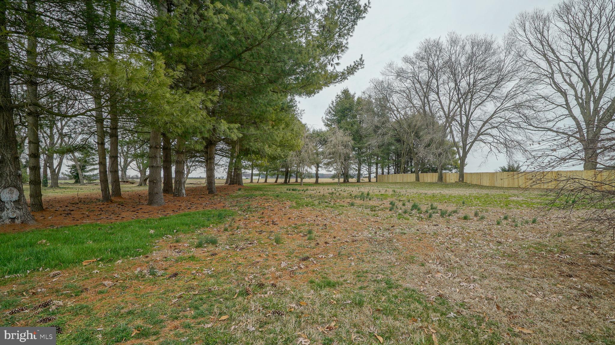 30326 Chesterville Bridge Road Millington, MD 21651 - Photo 29 of 33 Gallery Image 29