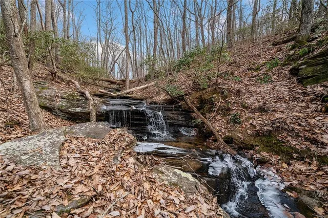 a view of a backyard with plants and trees
