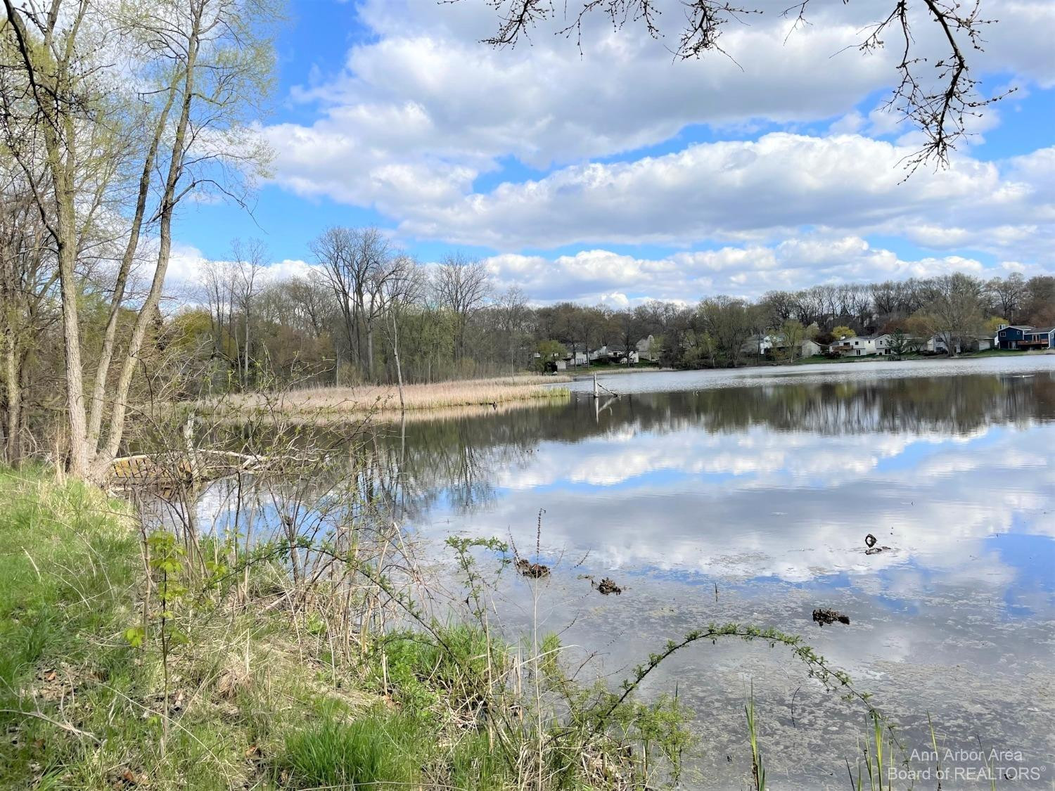 689 Glenwyth Road Brighton, MI 48116 - Photo 23 of 52 Brighton Mill Pond