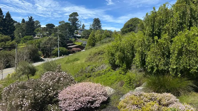$490,000 | 0 Loring Avenue, Mill Valley, CA 94941