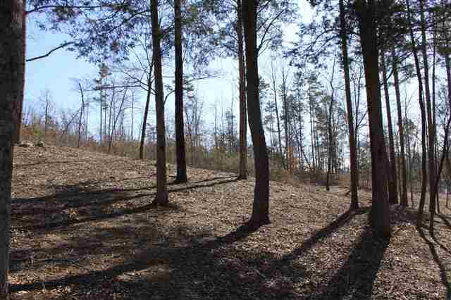 Lot 10 Laurel Ridge Seneca, SC 29678 - Photo 14 of 21 Gallery Image 14