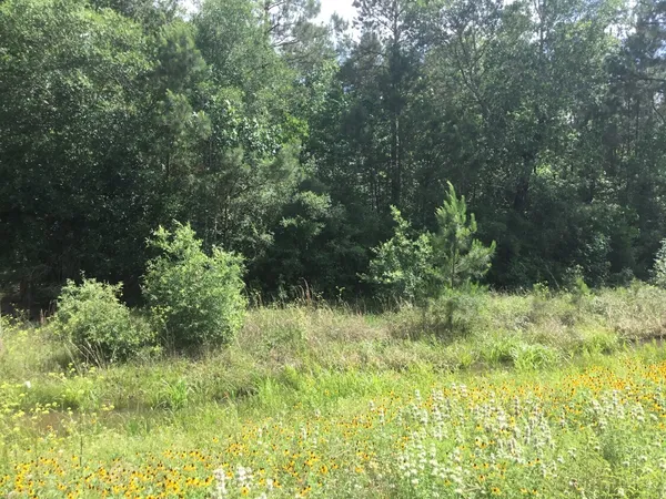 $198,000 | 0 Hwy 90 Liberty Tx 77538, Devers, TX 77538