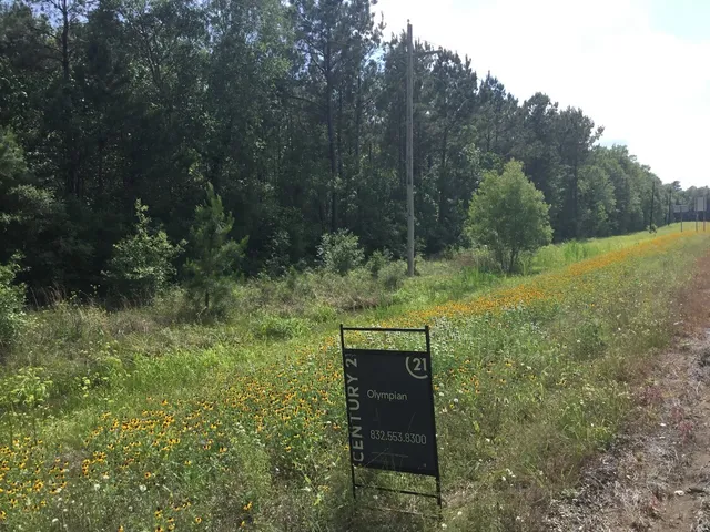 $198,000 | 0 Hwy 90 Liberty Tx 77538, Devers, TX 77538