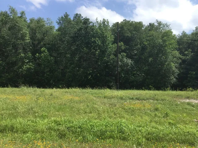 $198,000 | 0 Hwy 90 Liberty Tx 77538, Devers, TX 77538