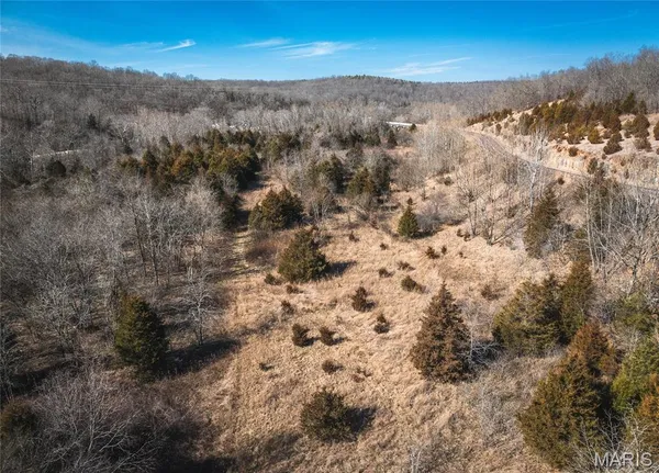 $119,900 | 0 Hwy C Tract 1 Courtois Mo 65565, Steelville, MO 65565