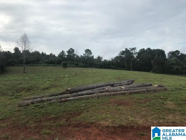 1375 Antioch Road, Unit 28 AC Ashland, AL 36251 - Photo 8 of 10 Gallery Image 8