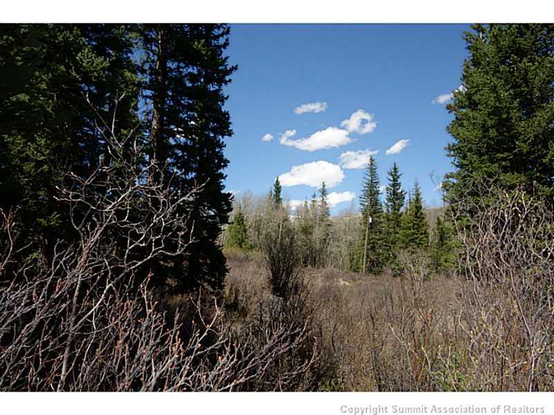 0 Mine Dump Road Alma, CO 80420 - Photo 1 of 7 Gallery Image 1