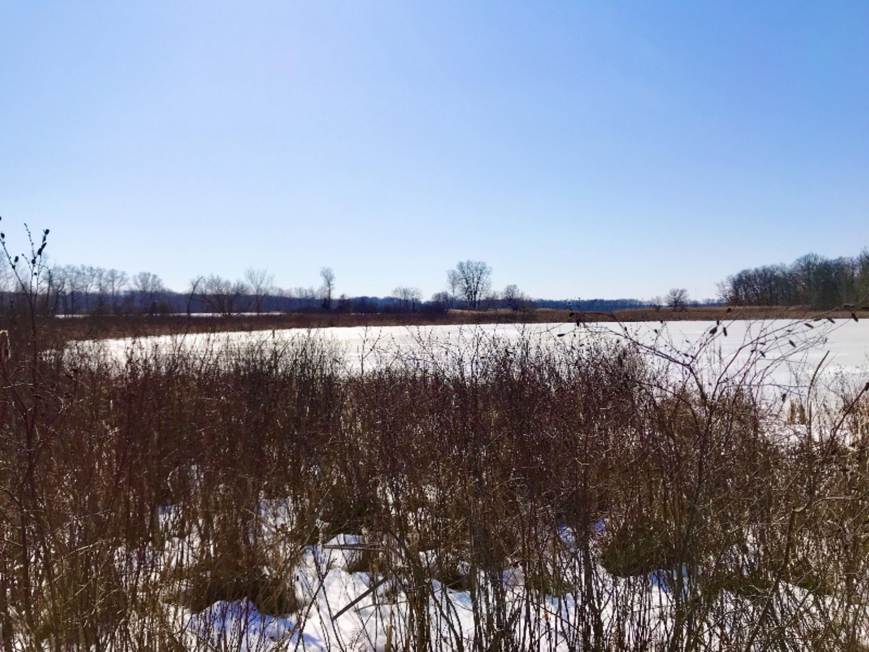 Sibley Road Springport, MI 49284 - Photo 6 of 11 71 Griffith Lake