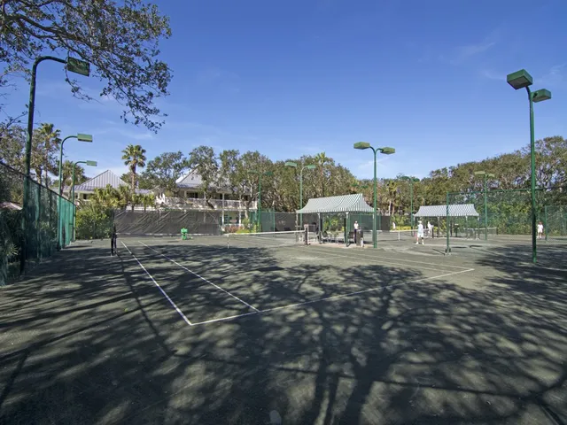 a view of a yard with bicycles