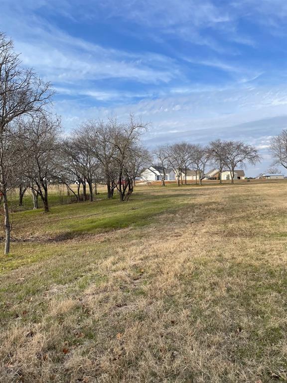 5455 Saddle Ridge Court Athens, TX 75752 - Photo 15 of 25 View of yard with a rural view