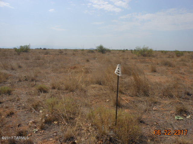 Tbd East Arzberger Road, Unit 17 Willcox, AZ 85643 - Photo 10 of 15