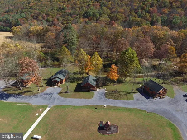 a view of a house with a yard and a large tree