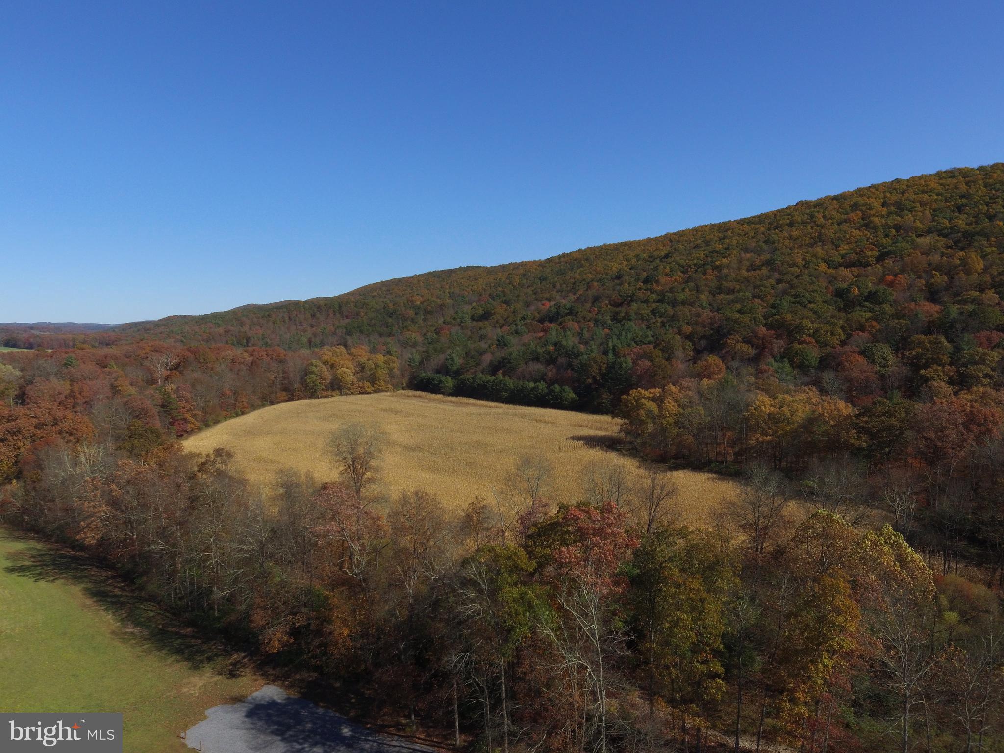 1461 Big Creek Road Clearville, PA 15535 - Photo 24 of 138 a view of a dry yard
