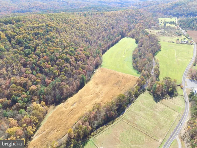 a view of street and wooden fence