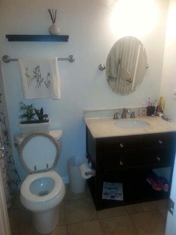 2125 North Ginger Creek Drive, Unit 2125 Palatine, IL 60074 - Photo 7 of 10 a bathroom with a sink toilet and a mirror