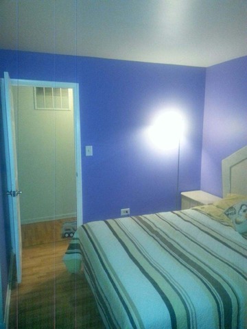 2125 North Ginger Creek Drive, Unit 2125 Palatine, IL 60074 - Photo 10 of 10 a bedroom with a bed and a potted plant