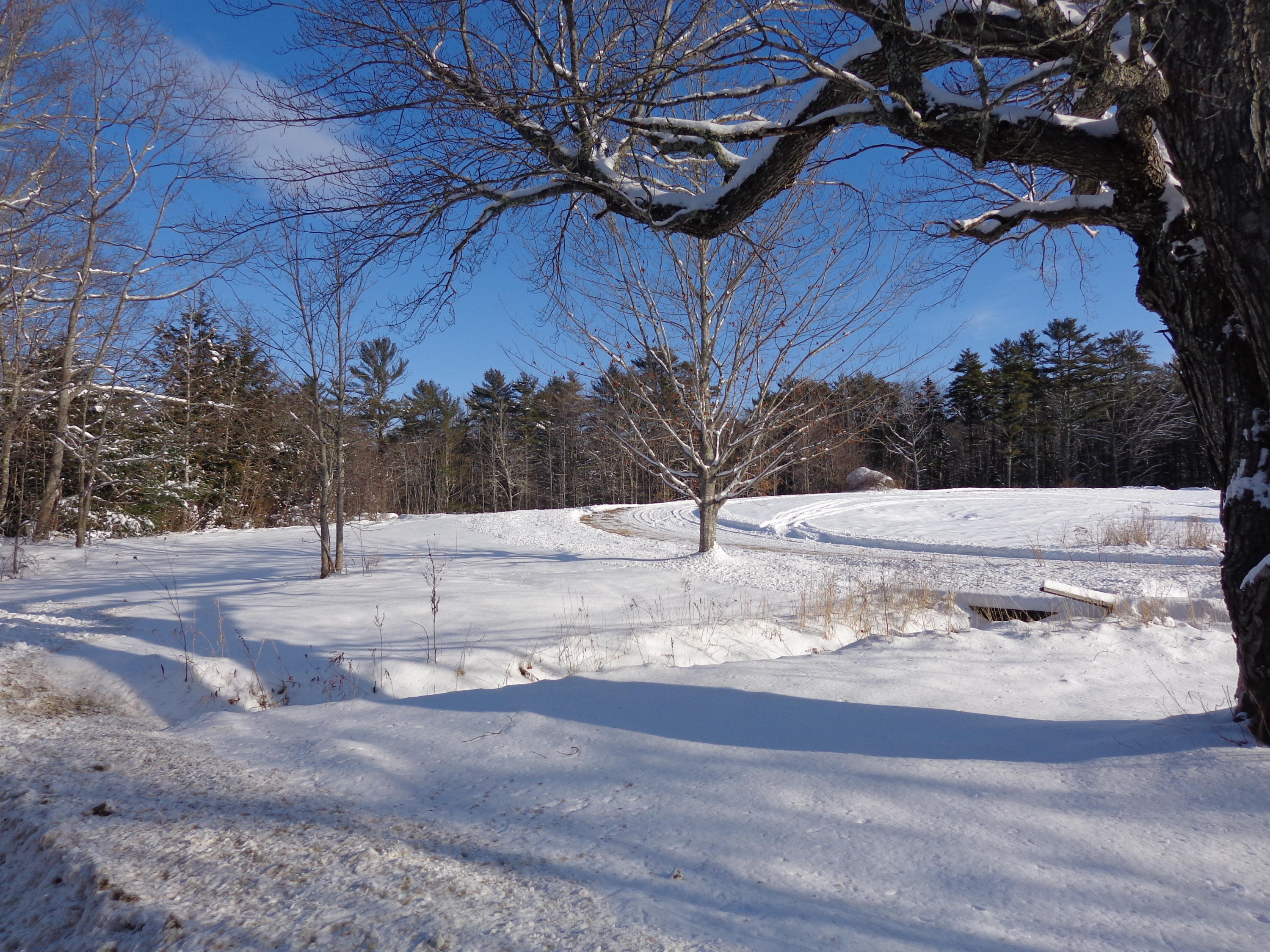 33 East Neck Road Nobleboro, ME 04555 - Photo 3 of 9 DSC09931