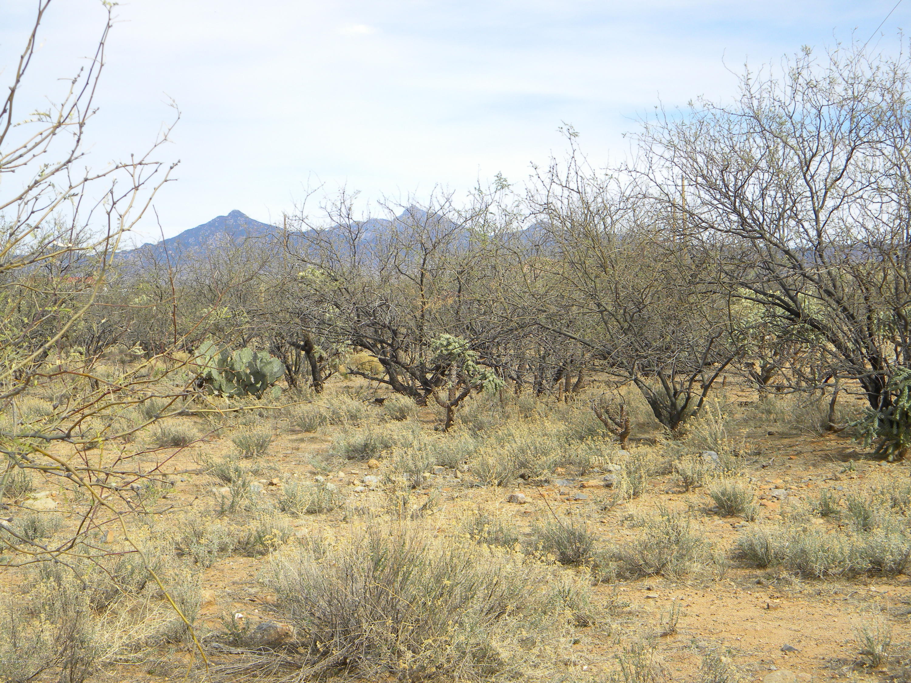 Circulo Agua Blanca Rio Rico, AZ 85648 - Photo 5 of 9