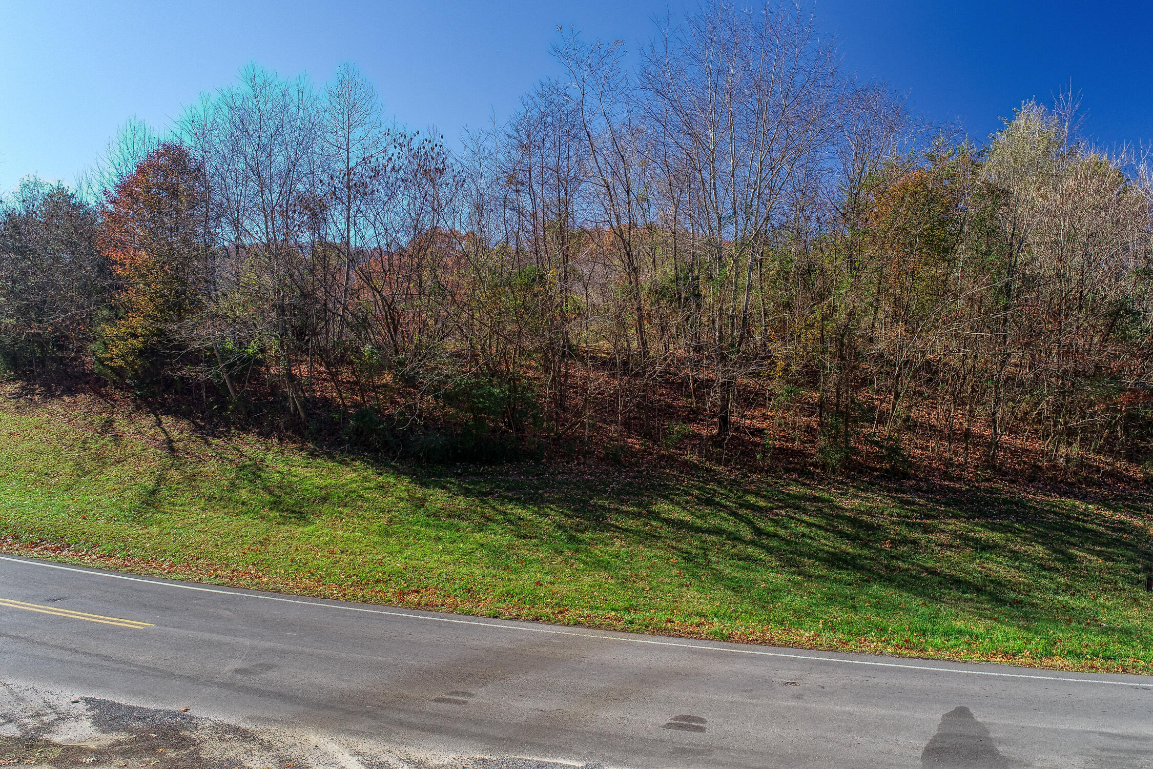 Tbd Colonial Road Rogersville, TN 37857 - Photo 3 of 21 BG. Colonial Rd Lot. Rog MLSa (1 of 21)