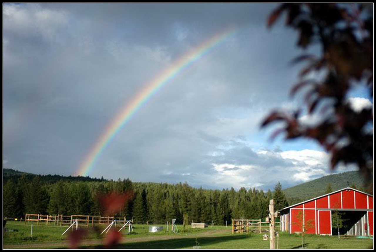 2261 Widow Hawks Road Colville, WA 99114 - Photo 15 of 20