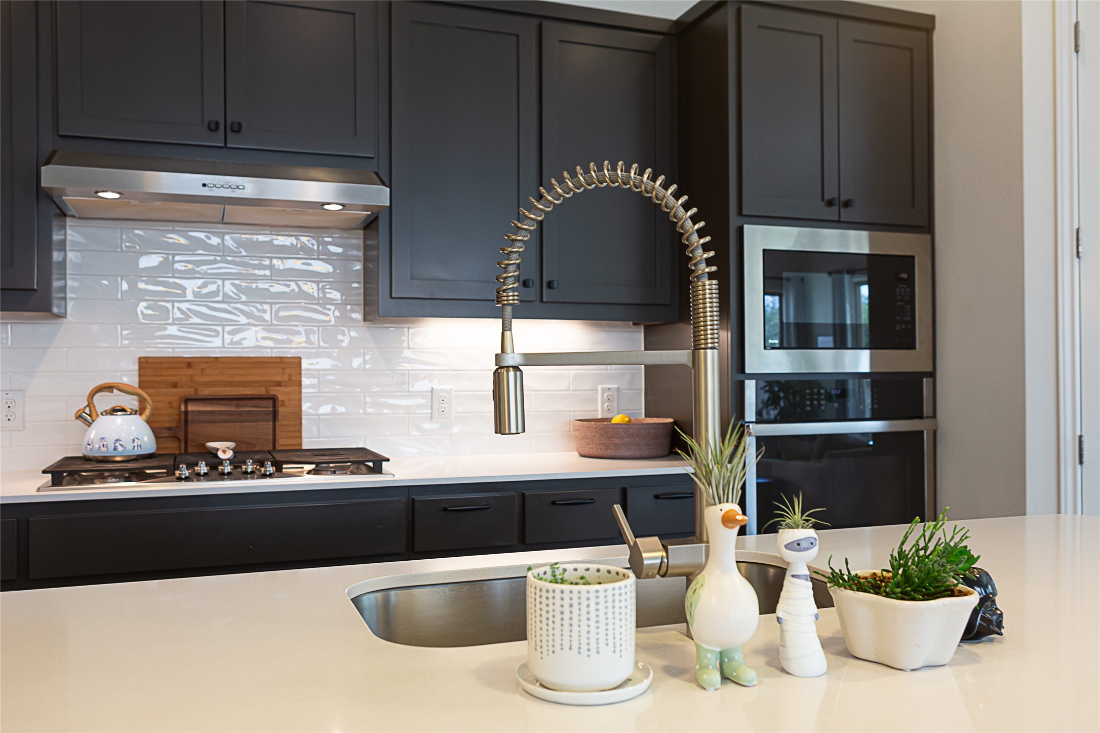 5013 Globe Mallow Drive Austin, TX 78739 - Photo 14 of 40