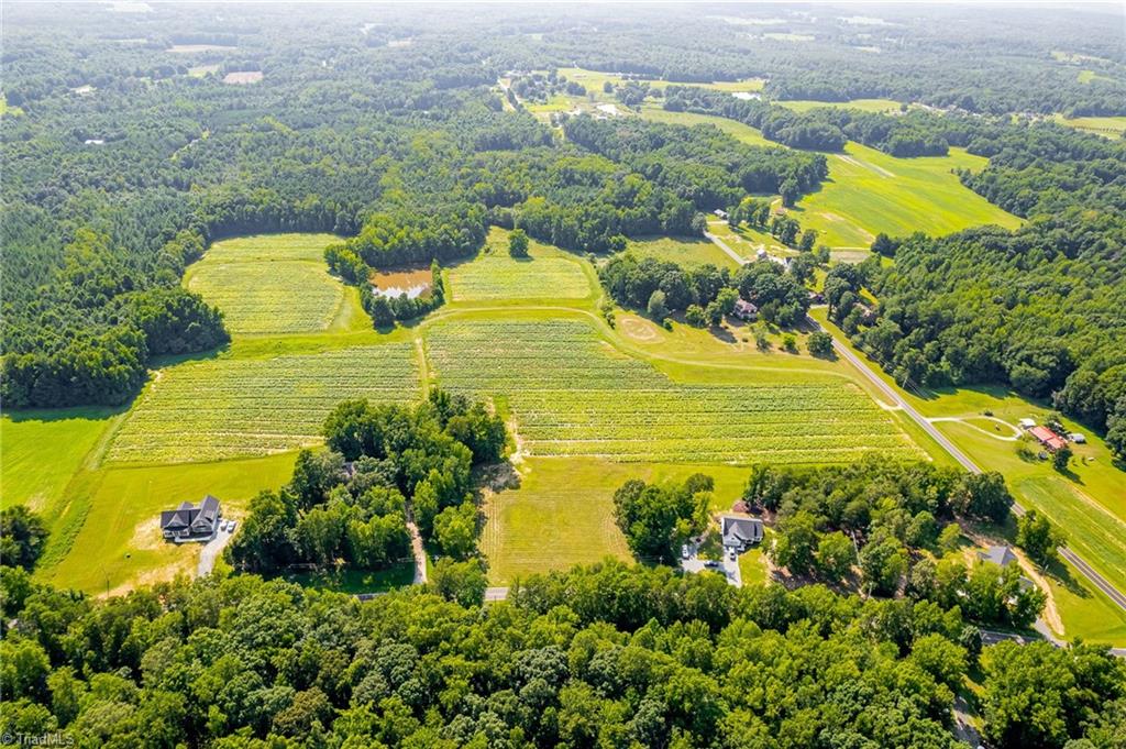 6070 Preacher Hayes Road Mebane, NC 27302 - Photo 3 of 12