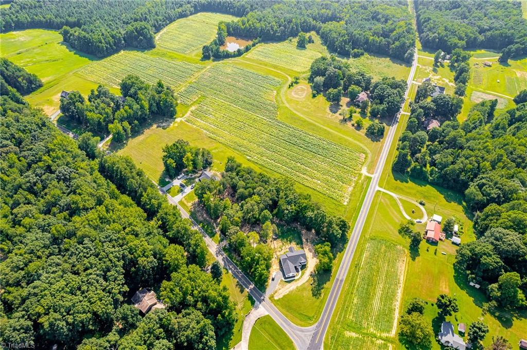 6070 Preacher Hayes Road Mebane, NC 27302 - Photo 10 of 12