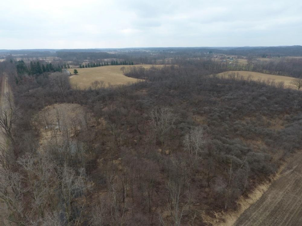 15490 Henzie Road Manchester, MI 48158 - Photo 7 of 16 DJI_0036