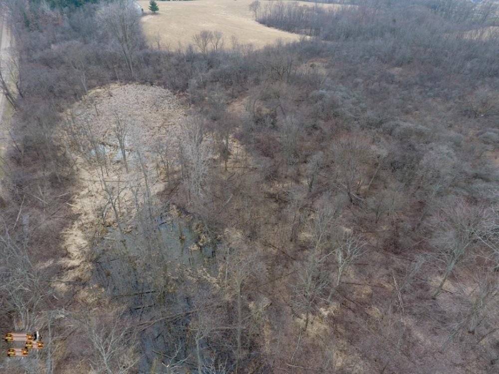 15490 Henzie Road Manchester, MI 48158 - Photo 8 of 16 DJI_0037