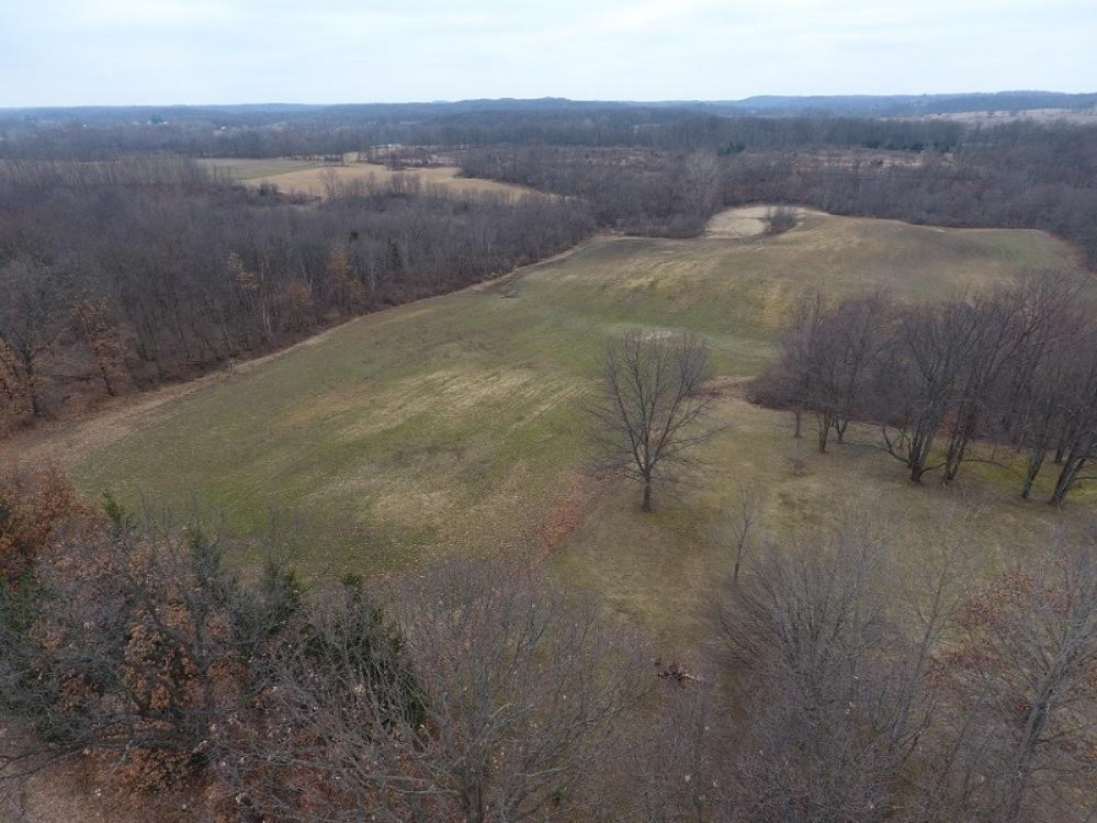 15490 Henzie Road Manchester, MI 48158 - Photo 9 of 16 DJI_0018