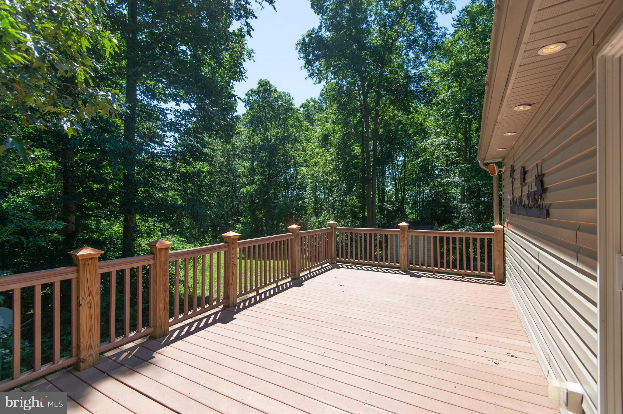 8585 Mitchell Road Denton, MD 21629 - Photo 47 of 65