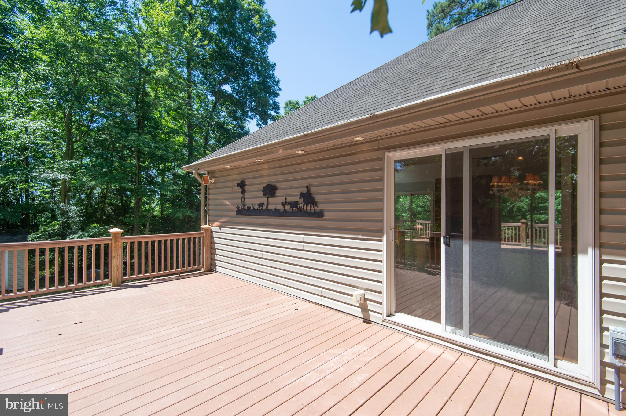 8585 Mitchell Road Denton, MD 21629 - Photo 48 of 65