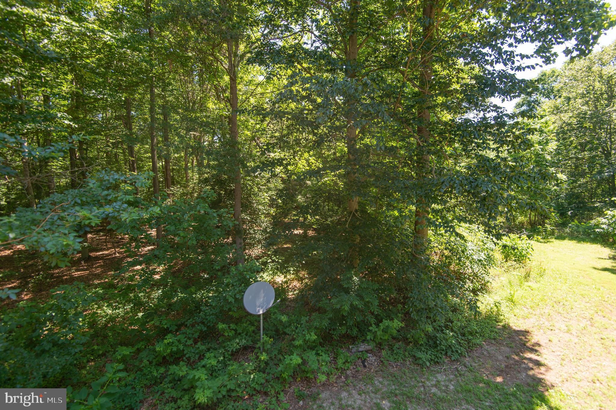 8585 Mitchell Road Denton, MD 21629 - Photo 51 of 65