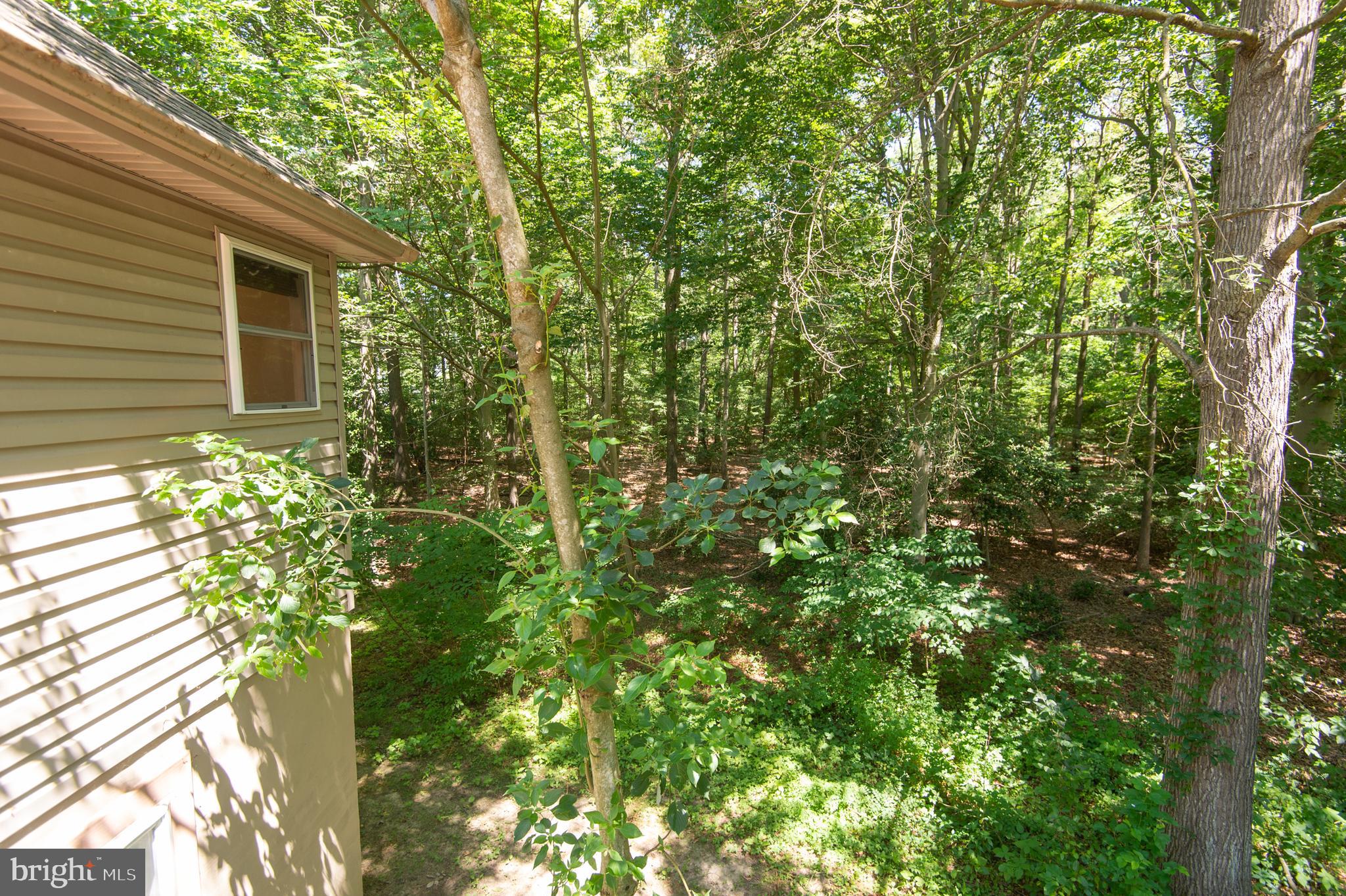 8585 Mitchell Road Denton, MD 21629 - Photo 52 of 65
