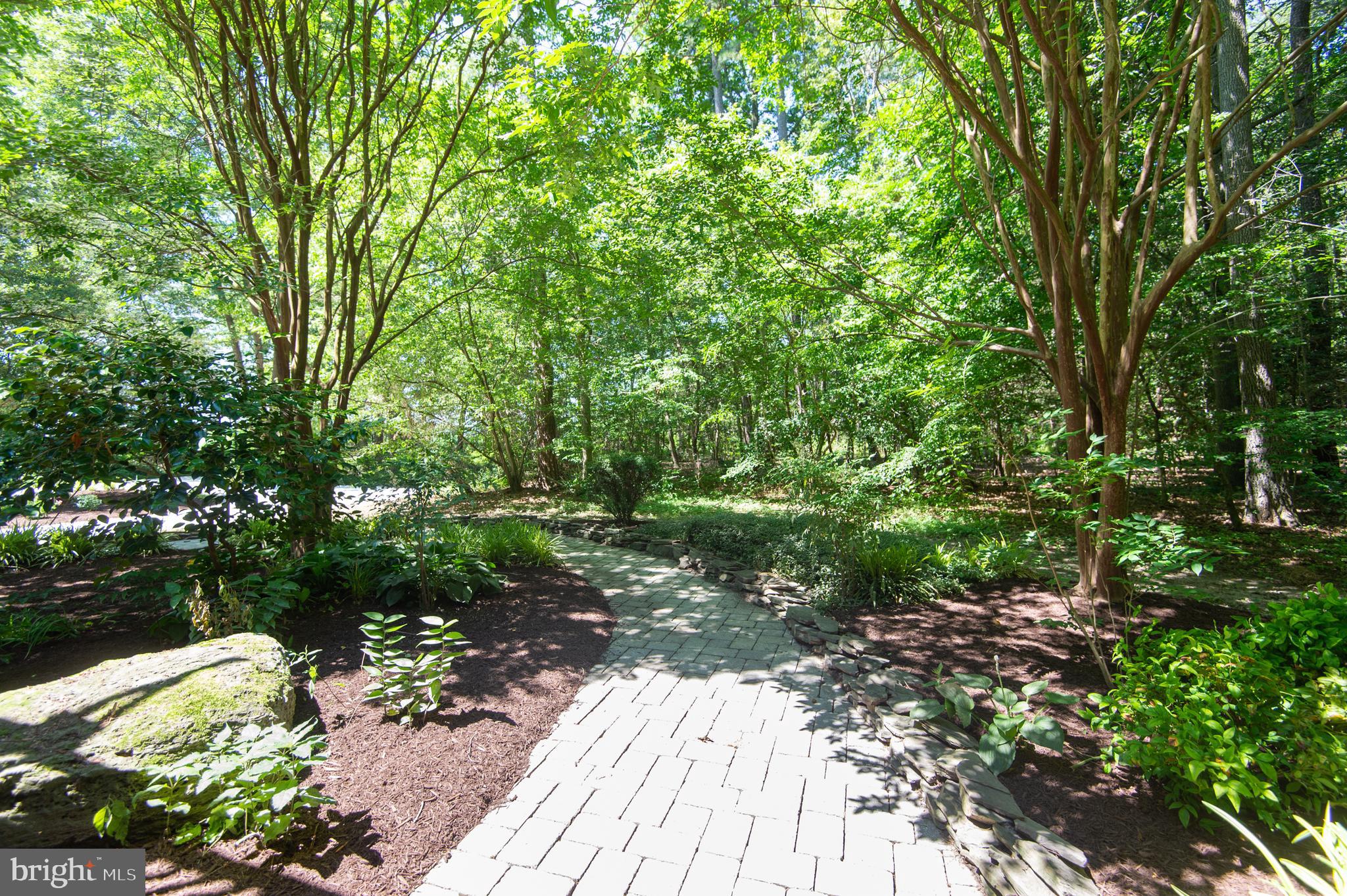 8585 Mitchell Road Denton, MD 21629 - Photo 56 of 65