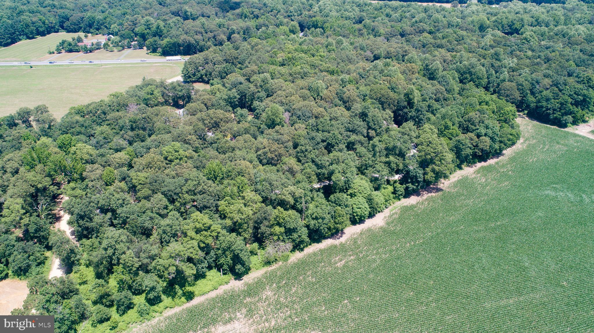 8585 Mitchell Road Denton, MD 21629 - Photo 61 of 65